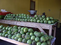 IMGP1093-5.jpg