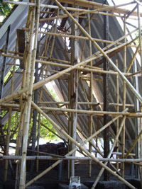 IMGP1266-6.jpg