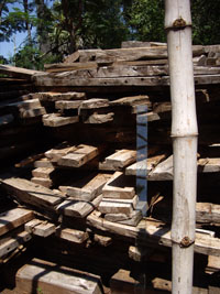 IMGP1273-2.jpg